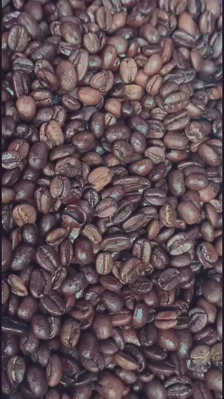 SR 54 Ethiopian Yirgacheffe Whole Bean Coffee – 16 oz