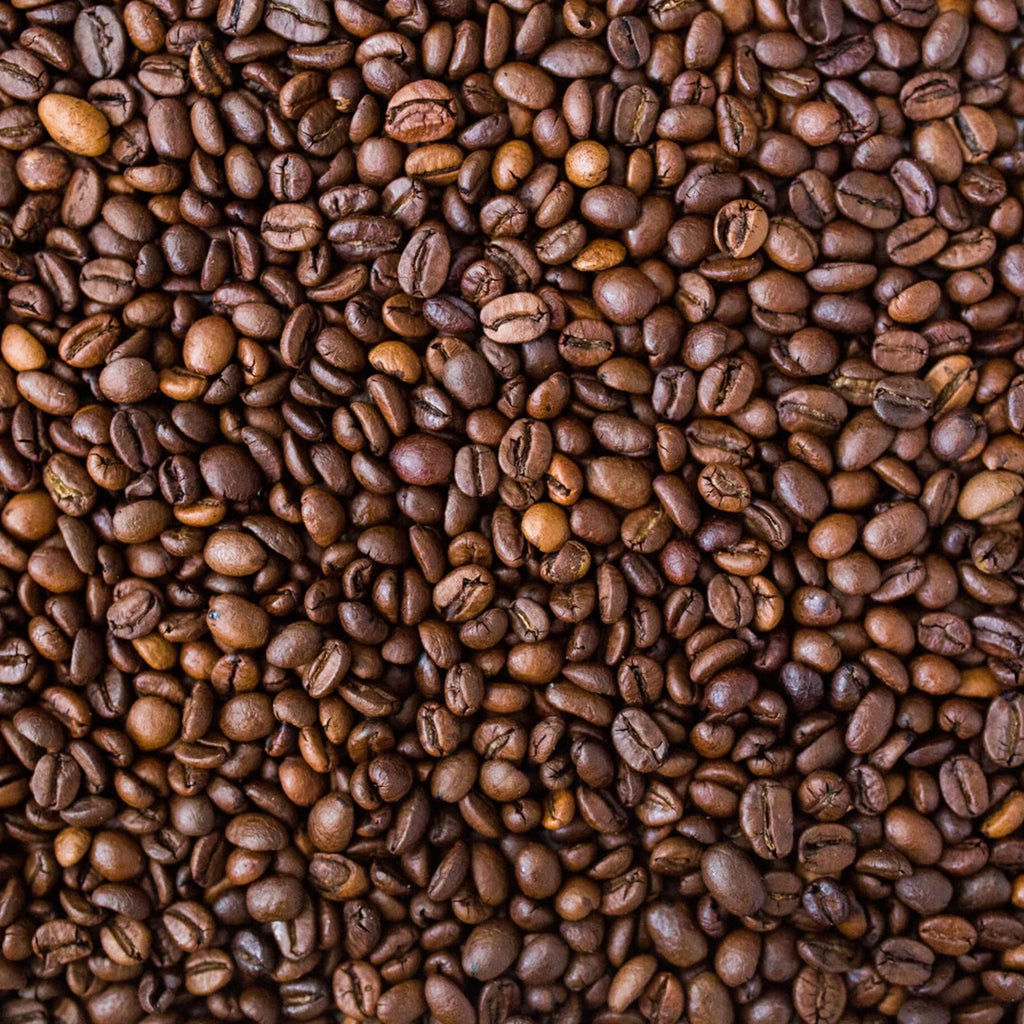 SR 54 Ethiopian Harar Whole Bean Coffee – 16 oz